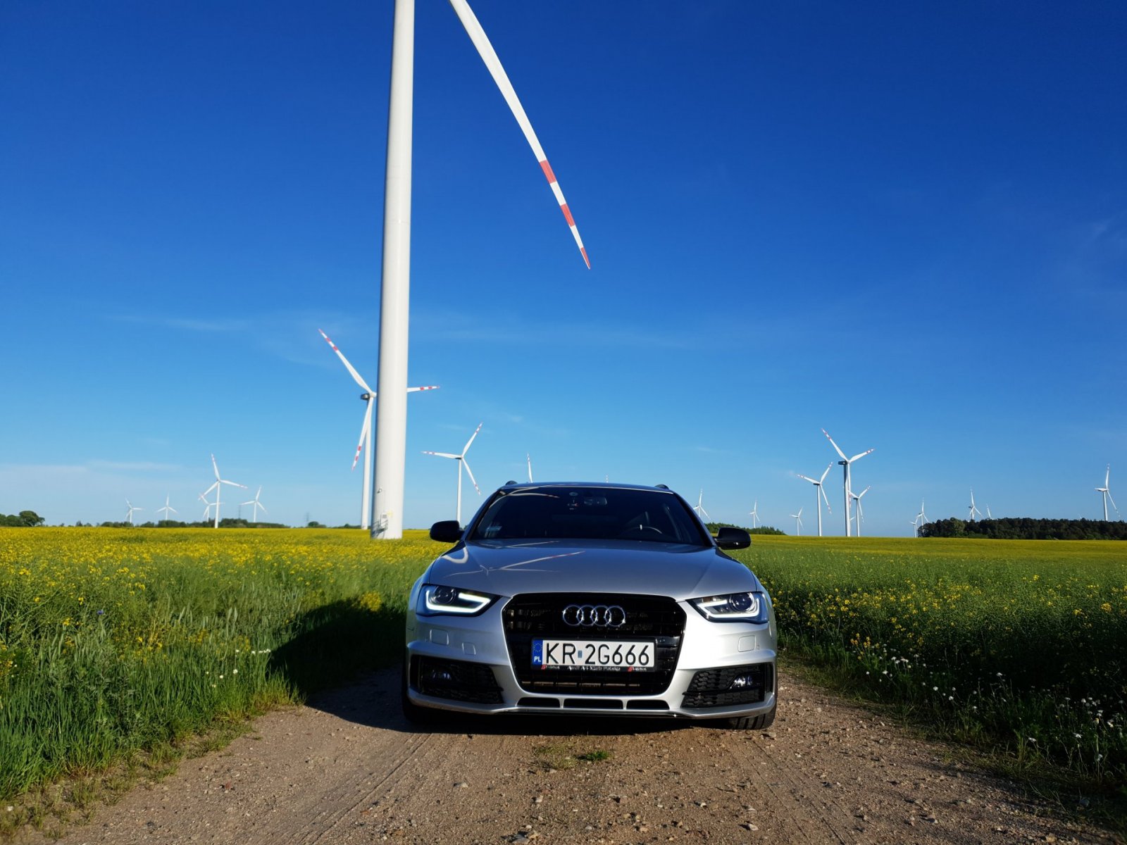 20190529_185316.jpg