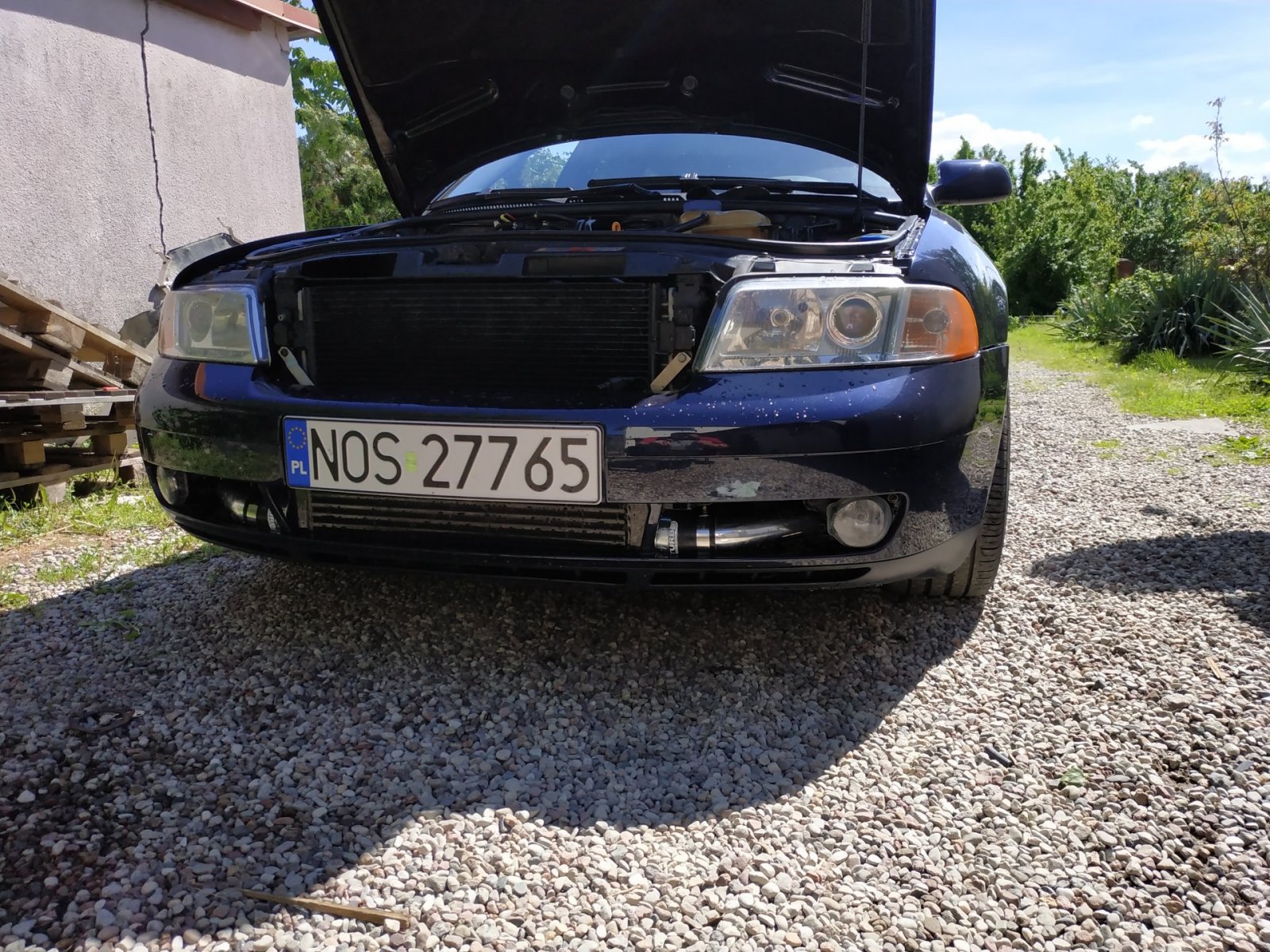 IMG_20190529_143556.jpg