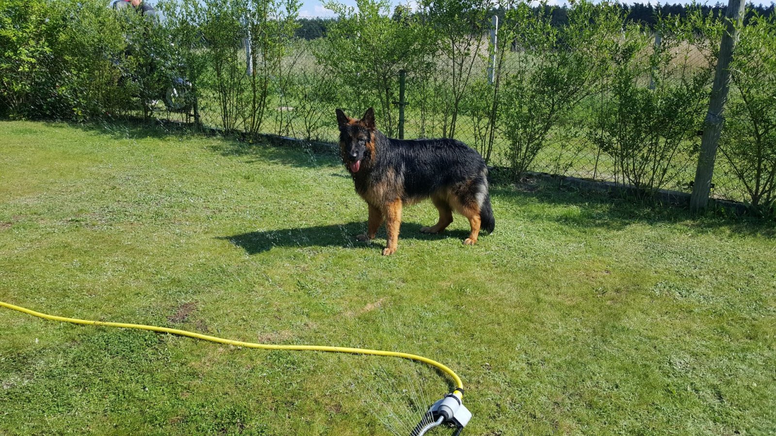 20190601_155909.jpg