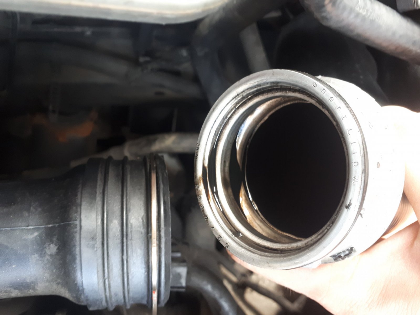 20190608_151402.jpg