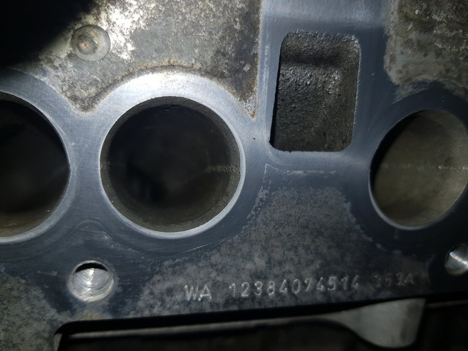 20190615_114725.jpg