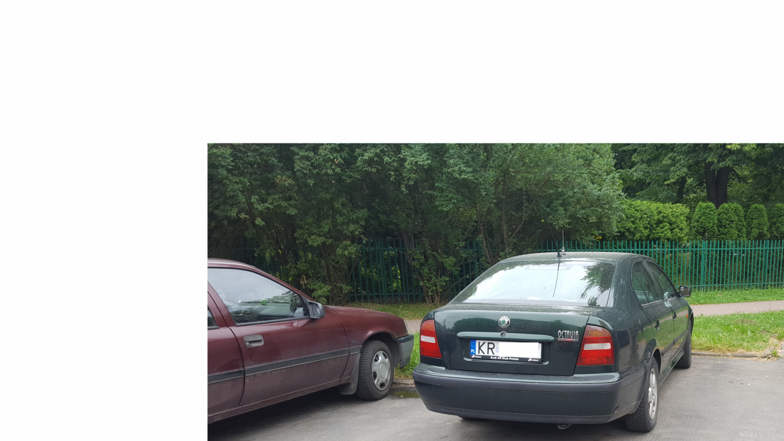 Bez tytułu.png