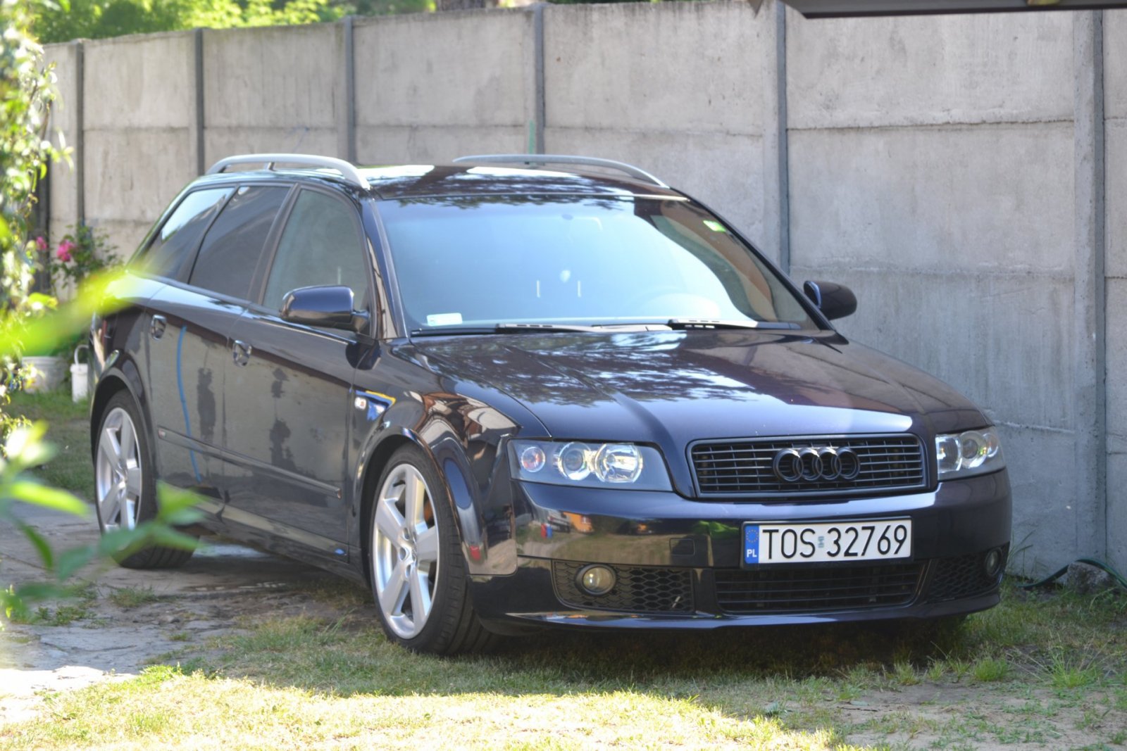 DSC_0780.JPG