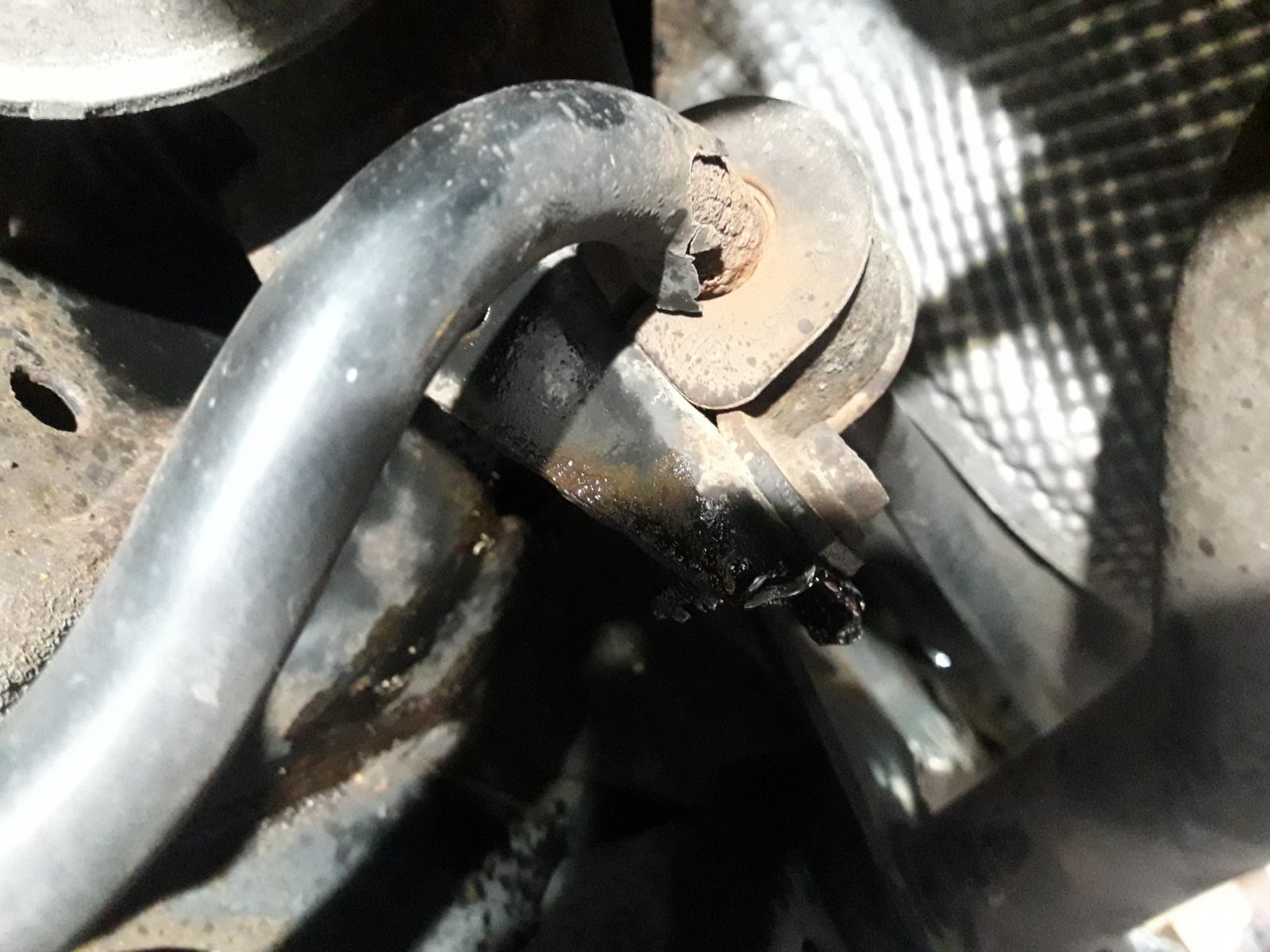 20190924_121046.jpg