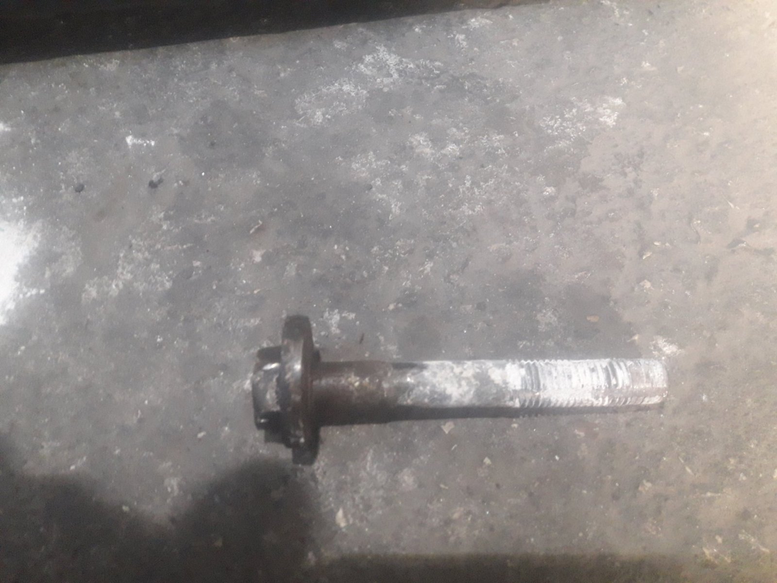 20190924_163203.jpg