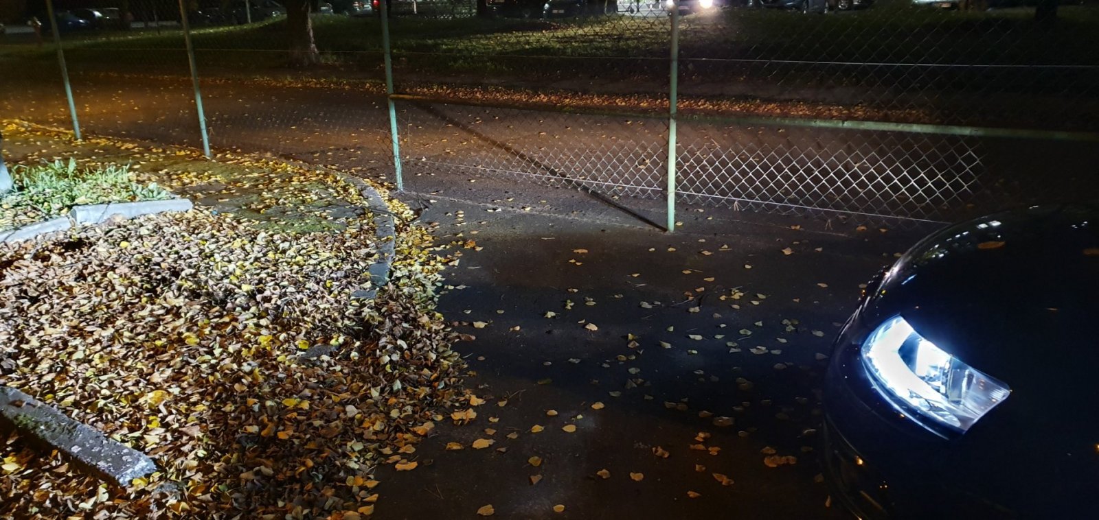 20191108_201326.jpg