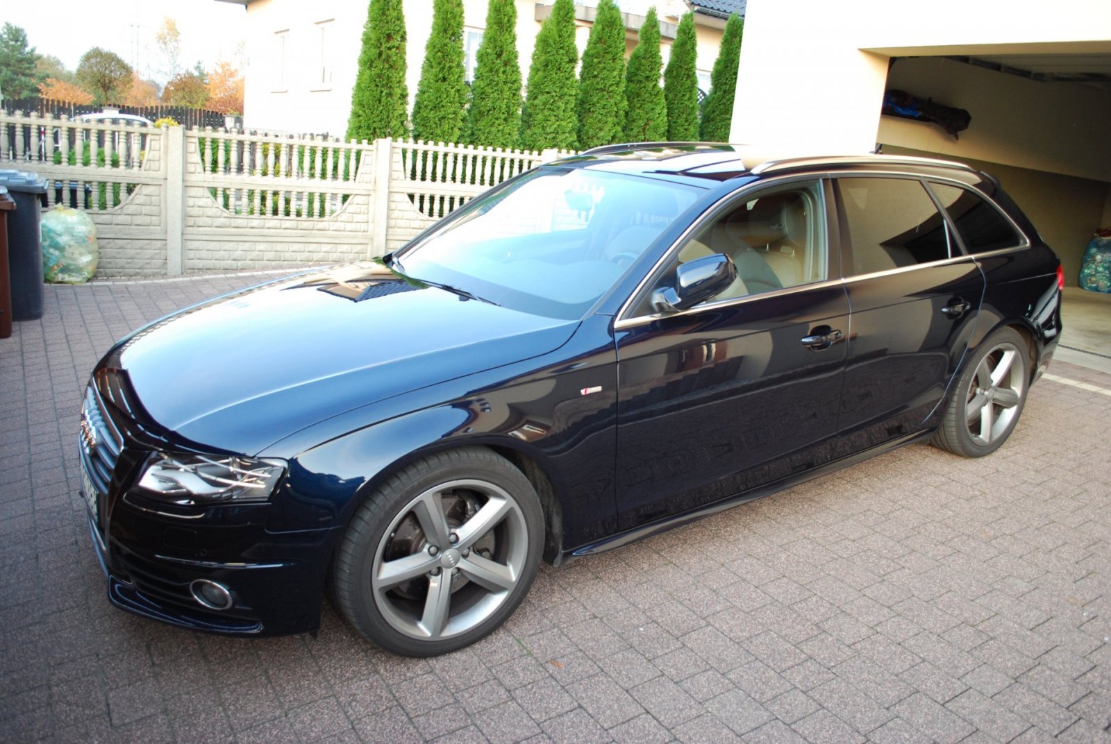 DSC_3145.JPG