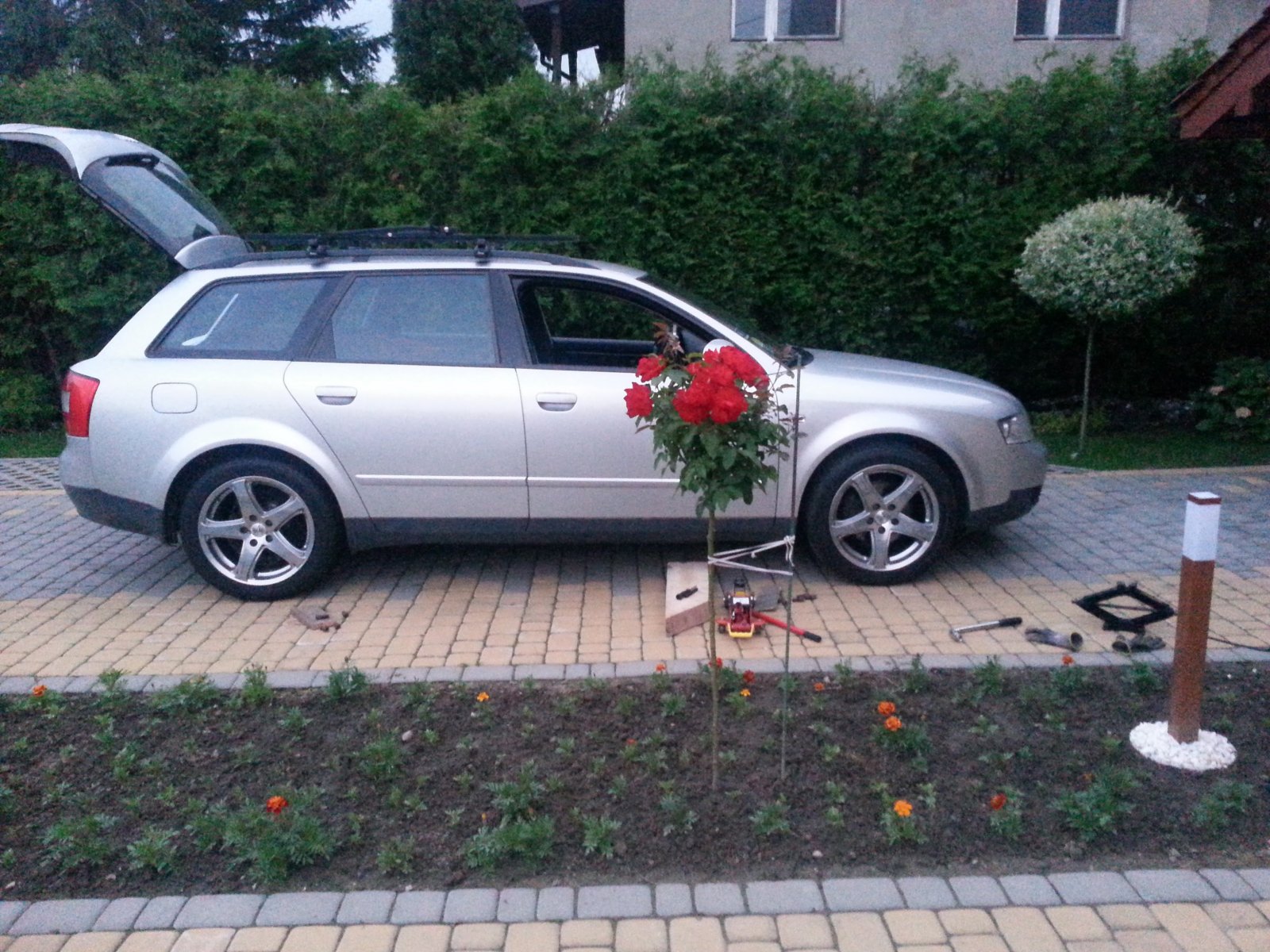 audi.jpg