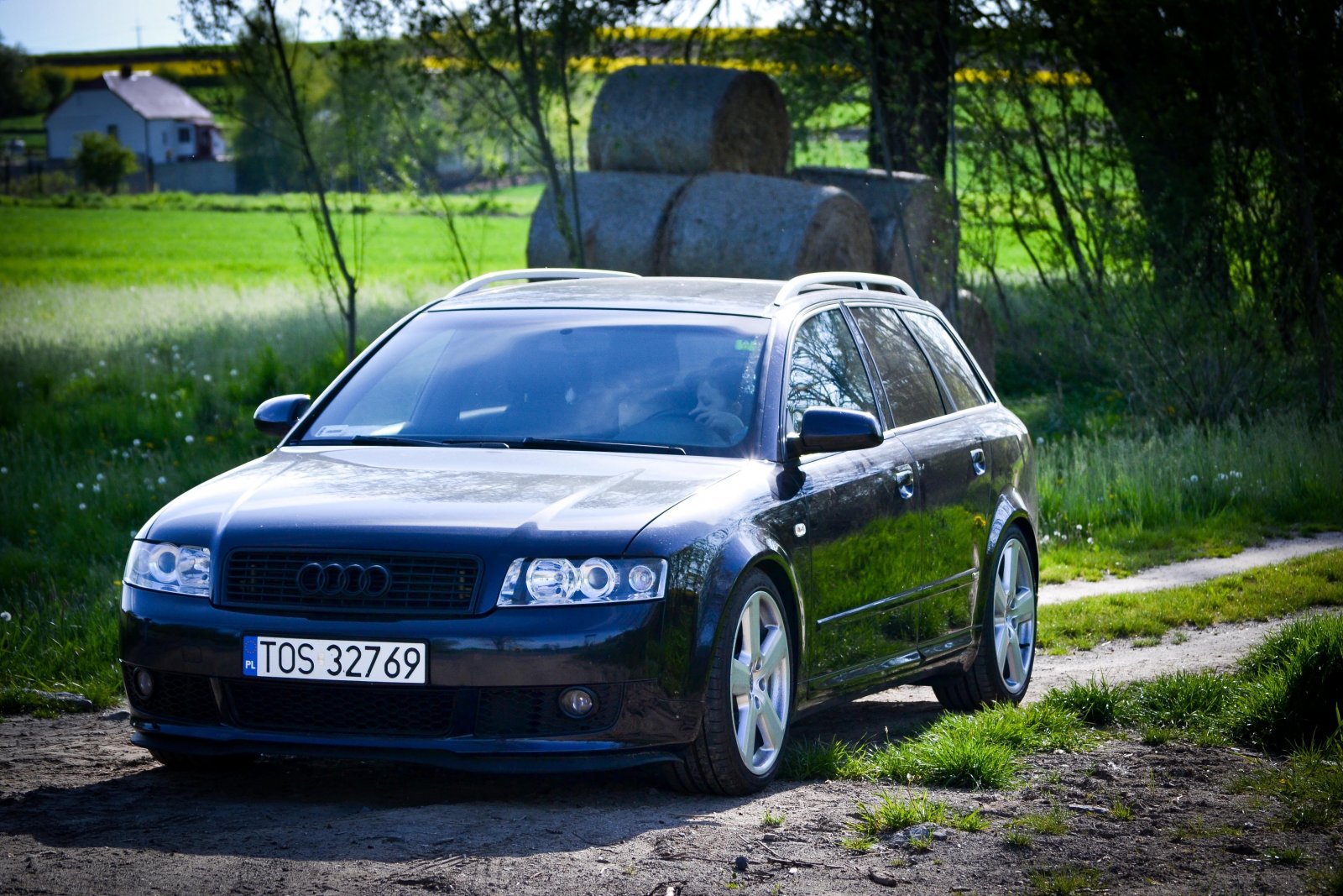 DSC_0267.jpg