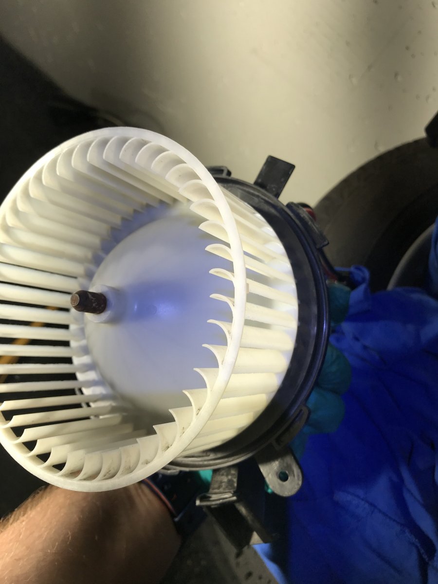 E8D87523-42CB-41D3-A42D-4E36EB06B3A5.jpeg