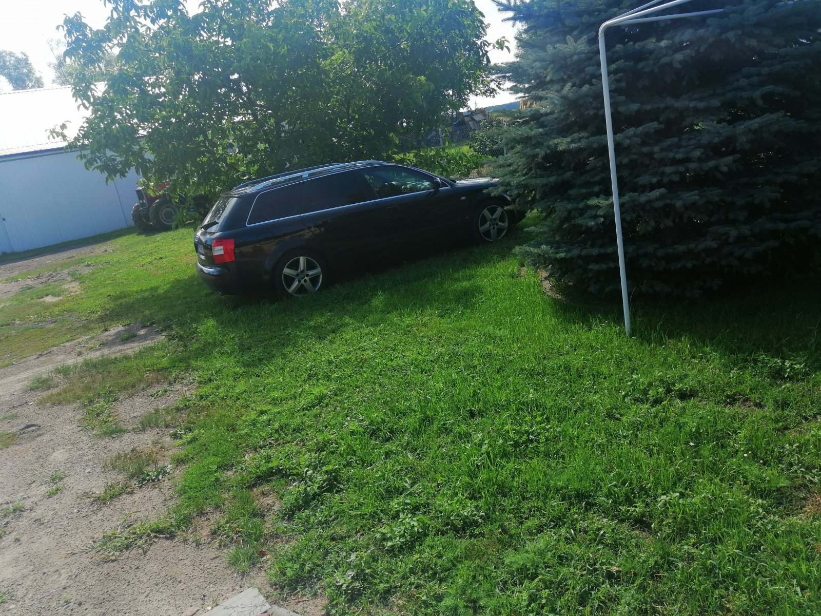 IMG_20190731_100755.jpg