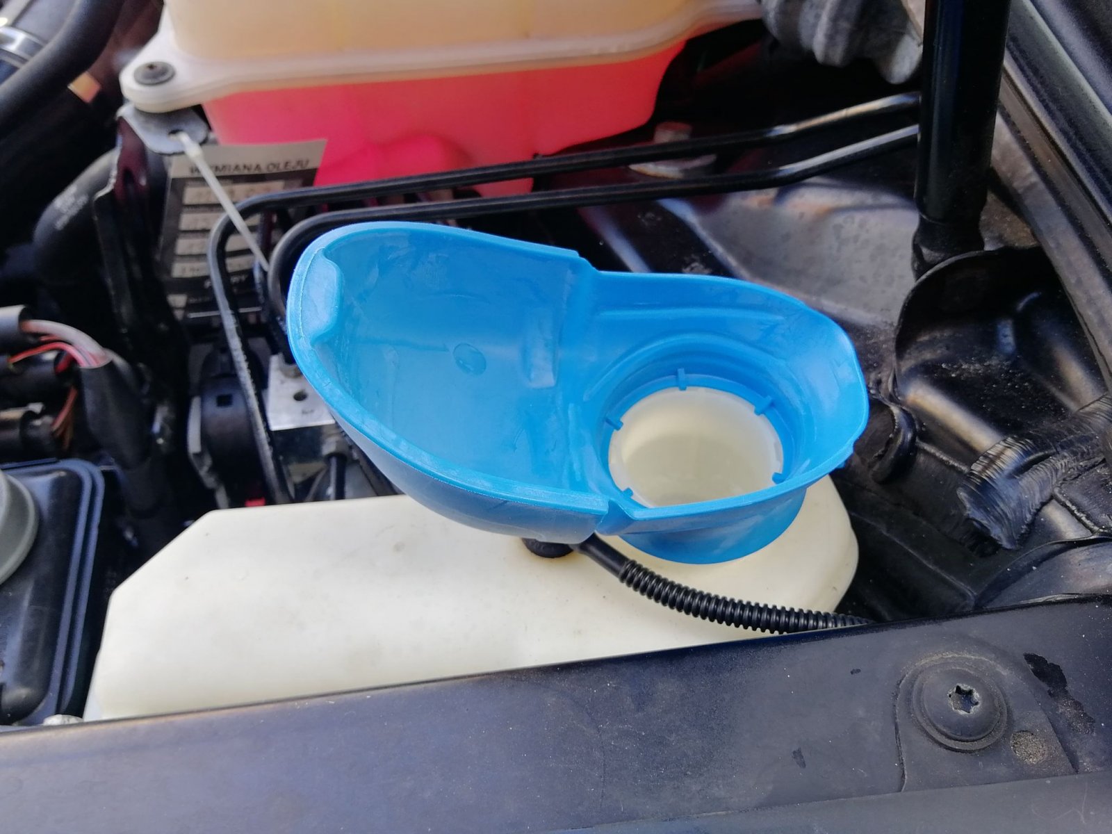 121063949_2439385523032234_7245921816442492330_n.jpg