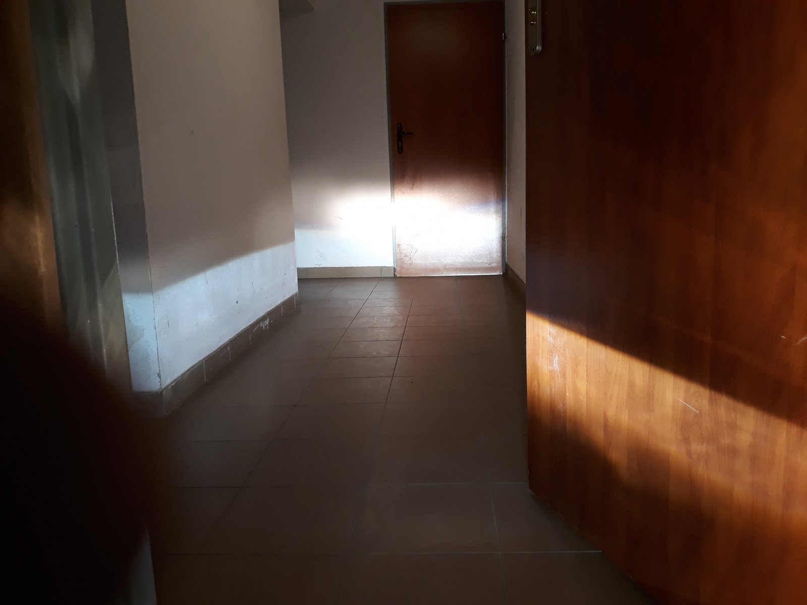 20190210_000650.jpg