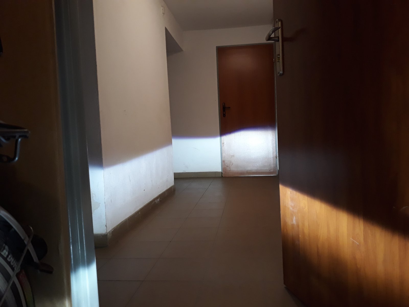 20190210_001001.jpg