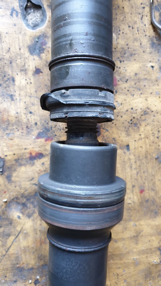 20201006_140310.jpg