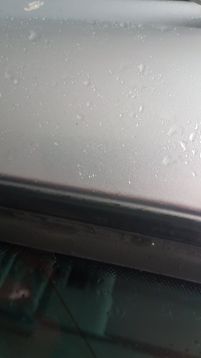 20201127_142608.jpg