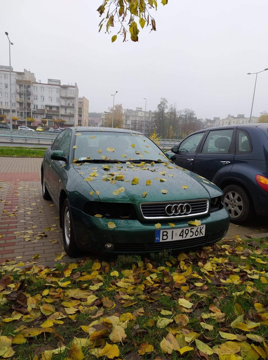 received_1760795114058767.jpeg