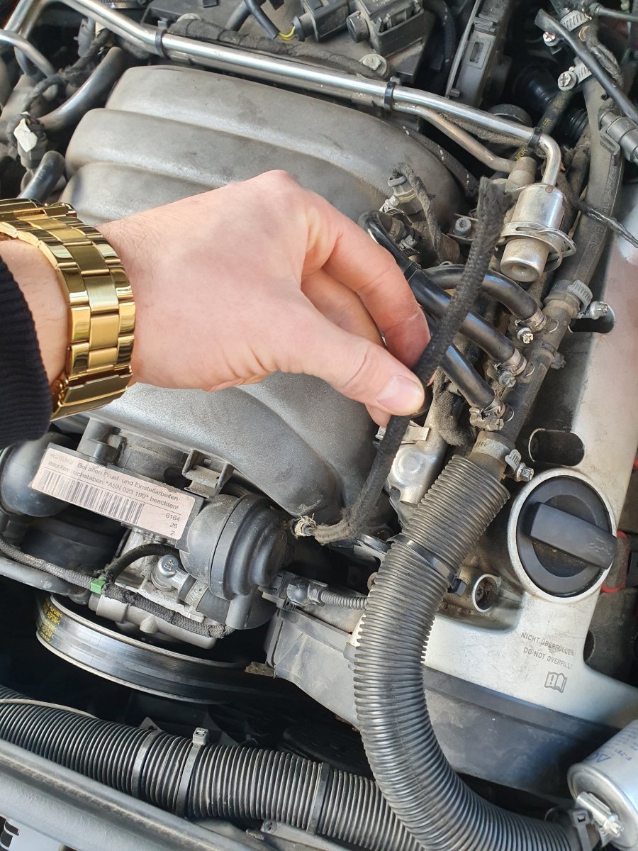 20201206_141231.jpg