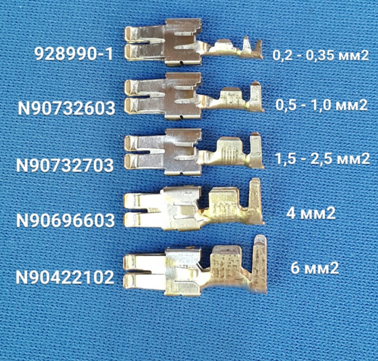 20201210_103704.jpg
