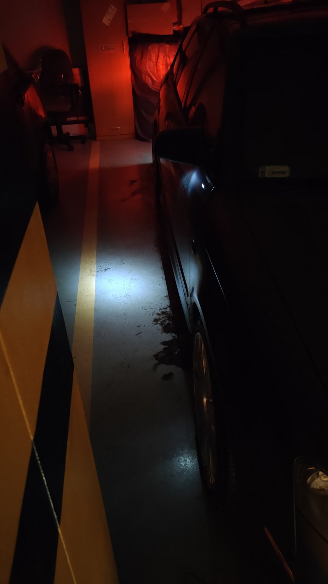 IMG20210123182854.jpg