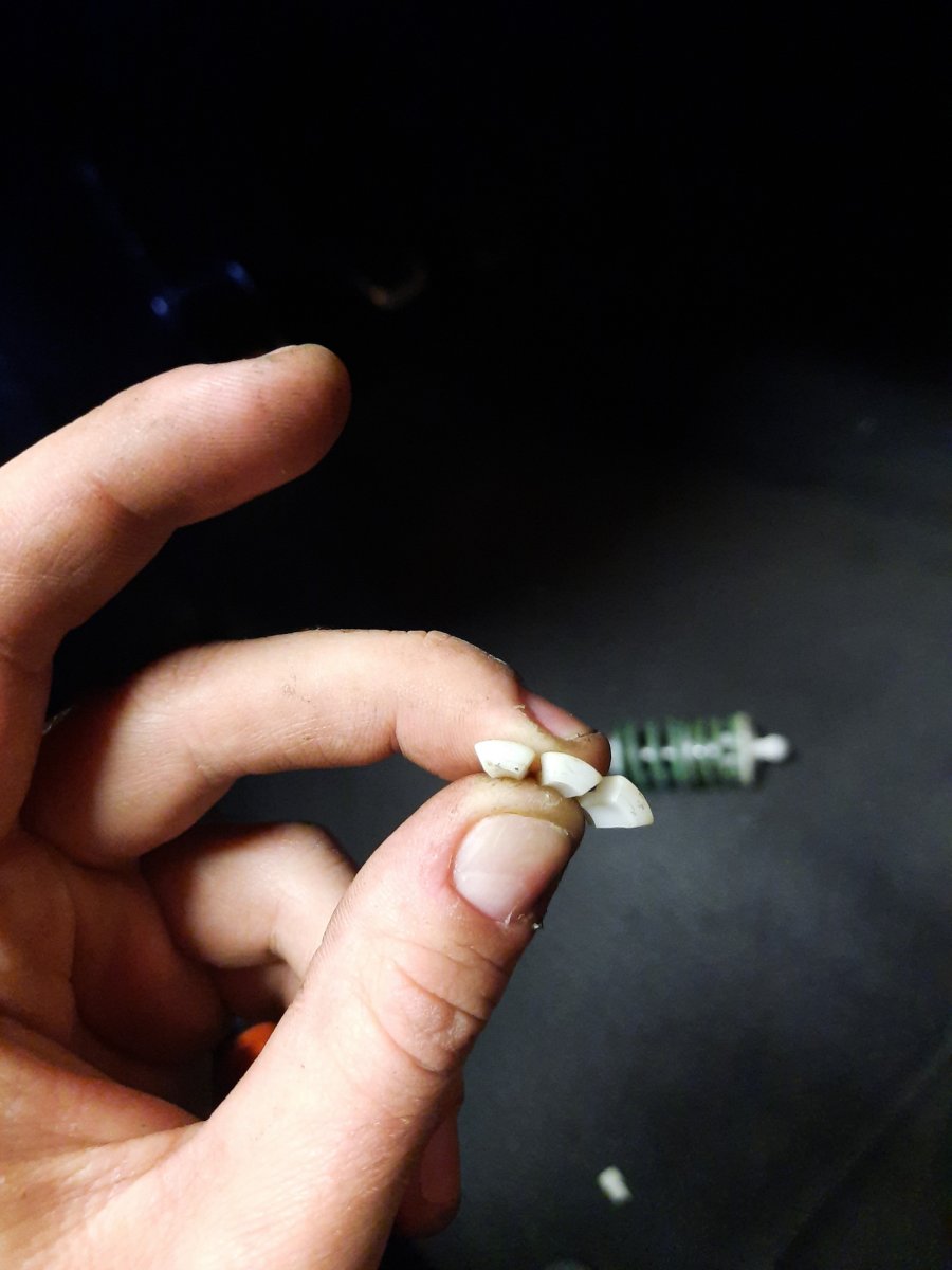 20210306_114911.jpg