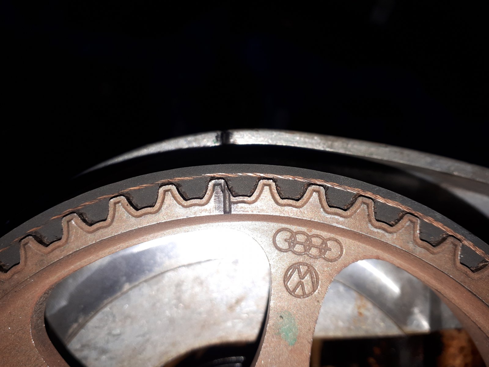 20210327_164550.jpg