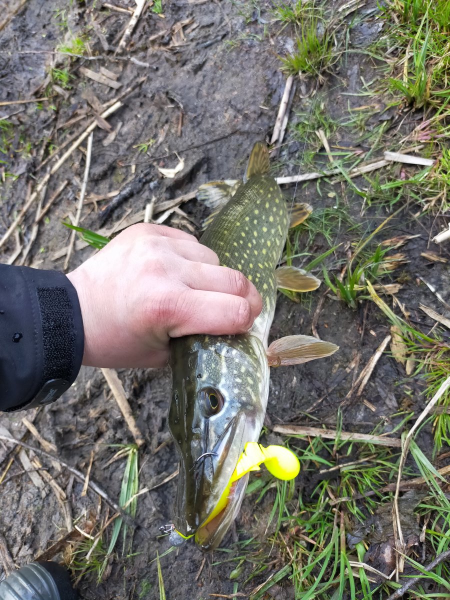 IMG20210503174817.jpg