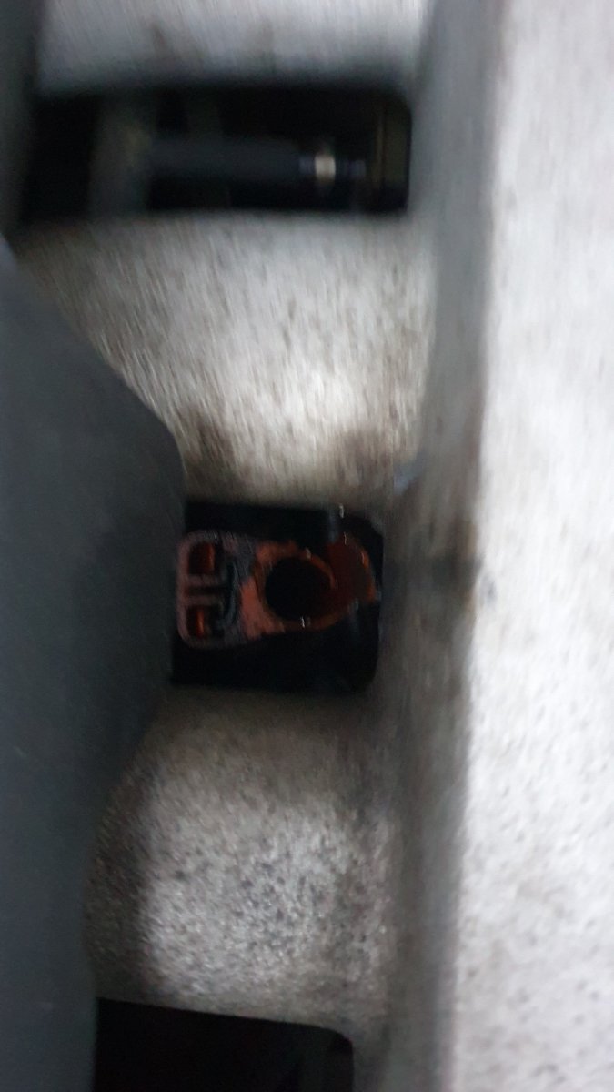 20211116_070007.jpg