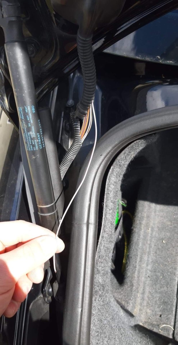 received_2604908176394695.thumb.jpeg.a07d8c1b3997751dd6b8bf7f2414d9a8.jpeg
