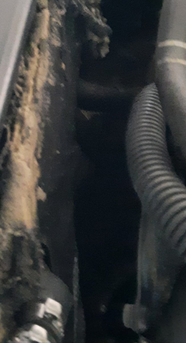 20220405_091920.jpg