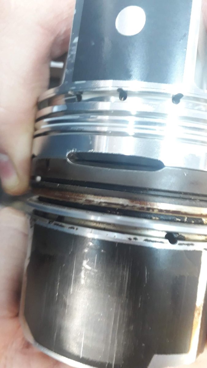 received_528860408763781.jpeg