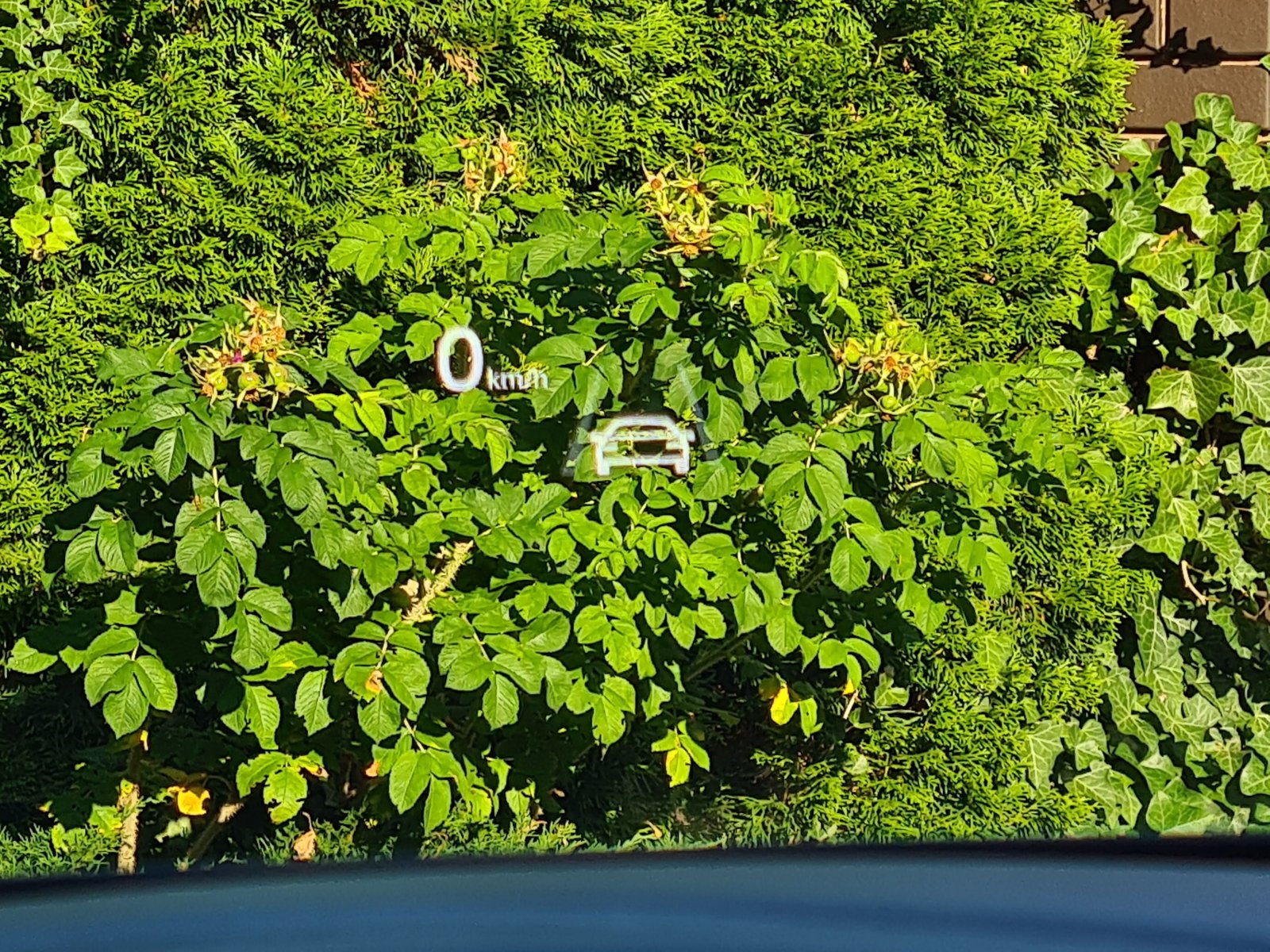 20220714_180801.jpg