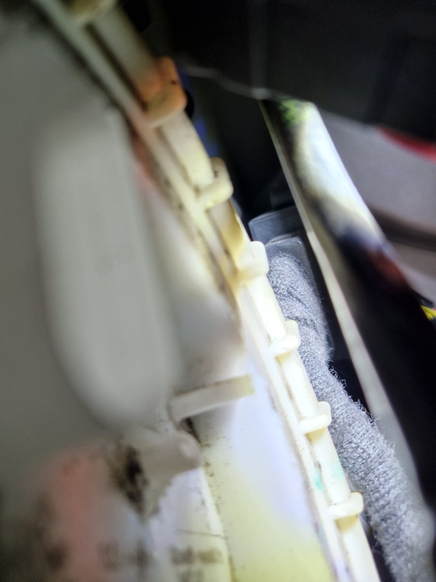 20220818_221000.thumb.jpg.e87c6953008c6d49ef13c80302930f8d.jpg