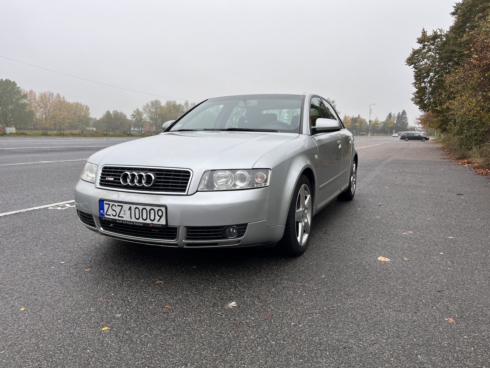 Audi A4 B6 przód.jpeg