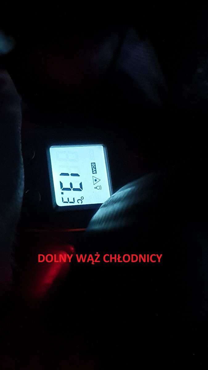 Dolny wąż.jpg