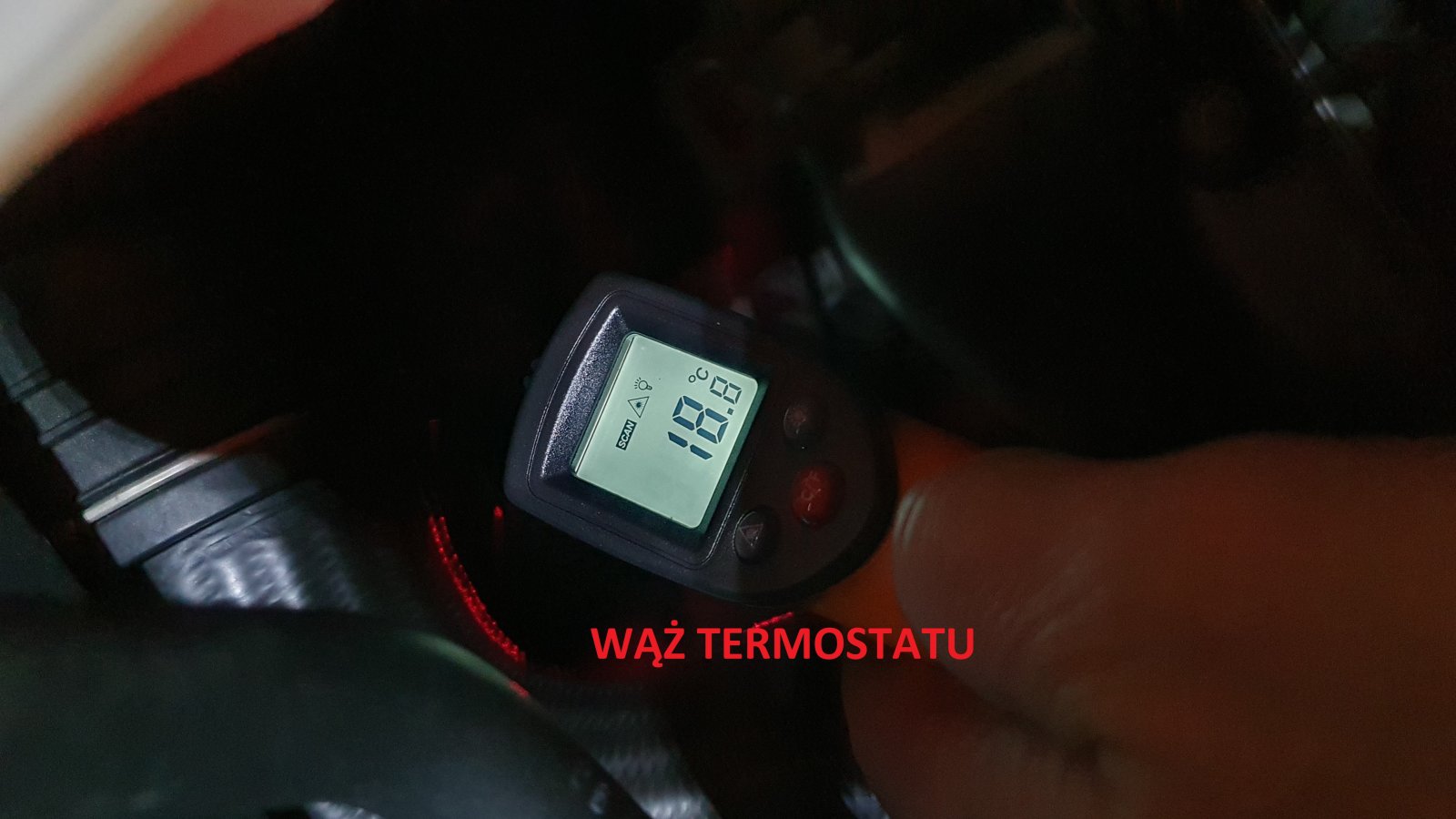 Wąż termostatu.jpg