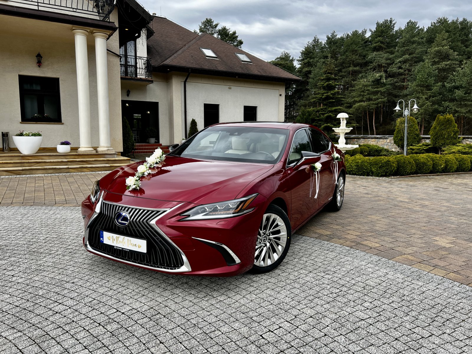 lexus (1).jpg