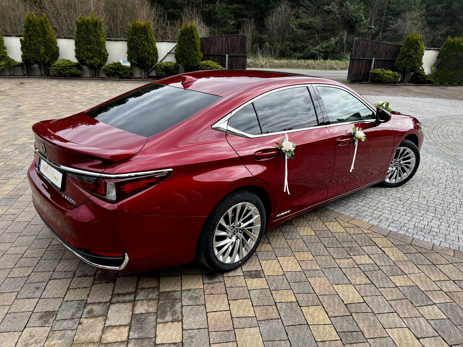 lexus (10).jpg