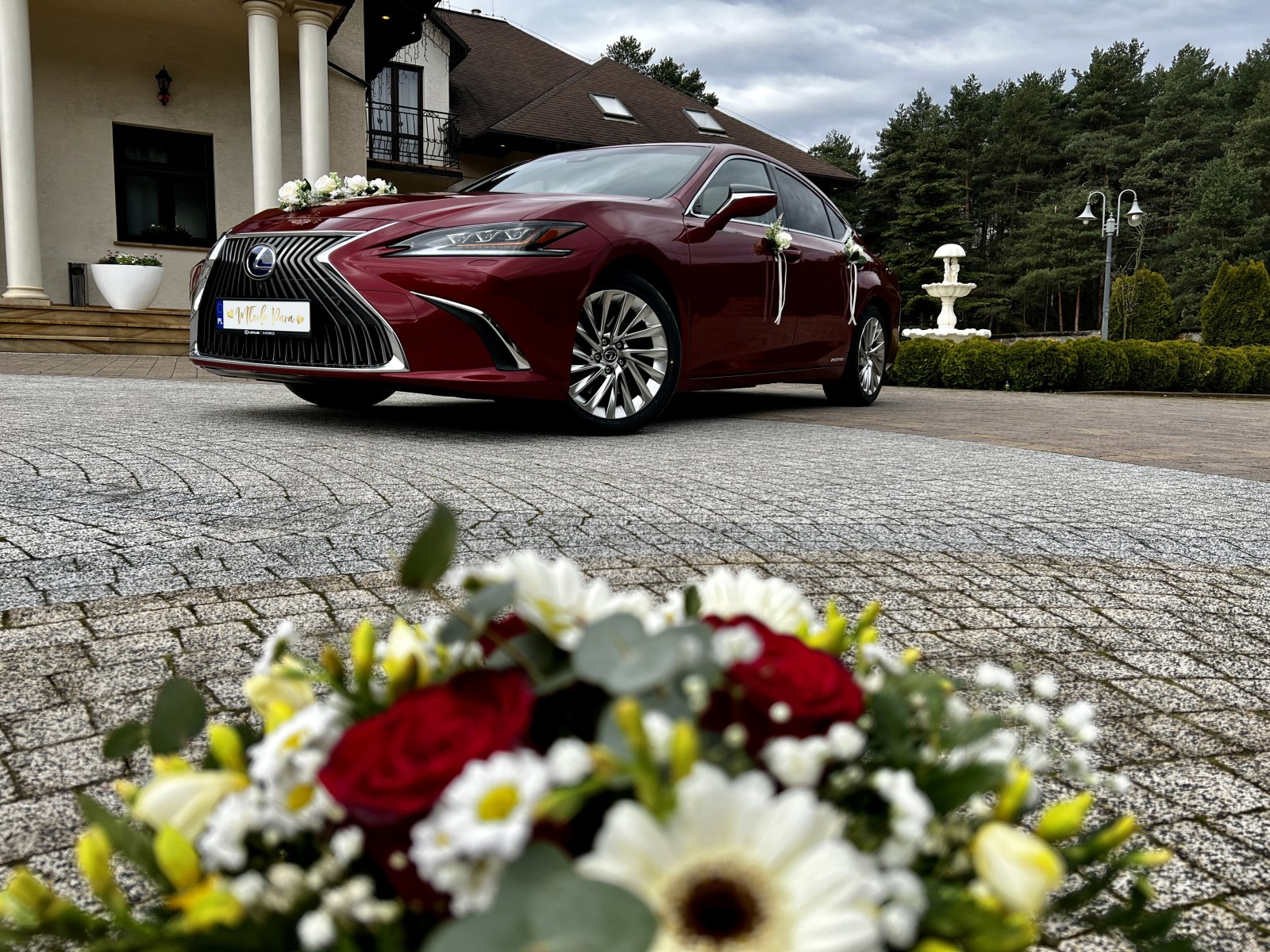lexus (14).jpg