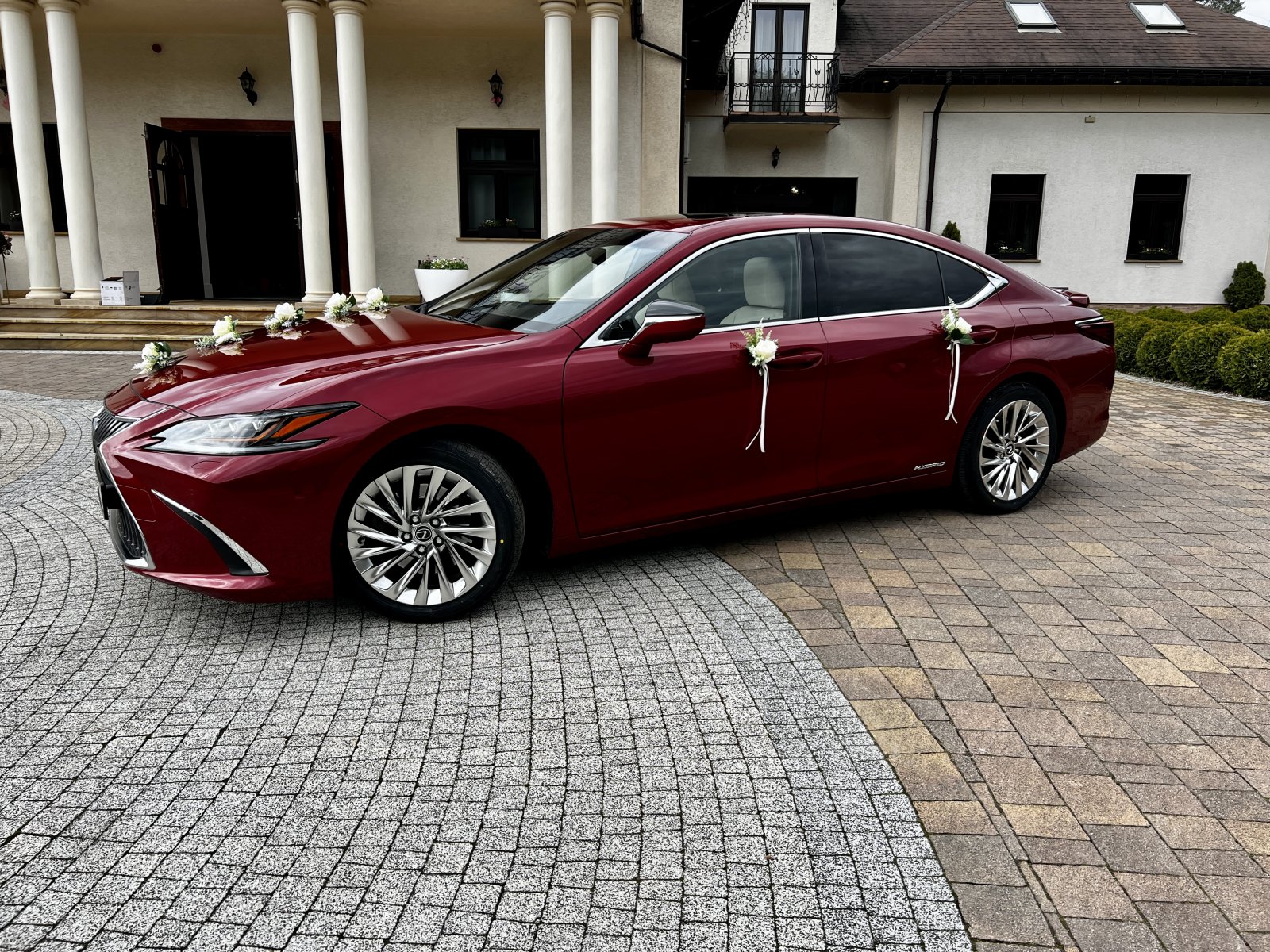 lexus (3).jpg