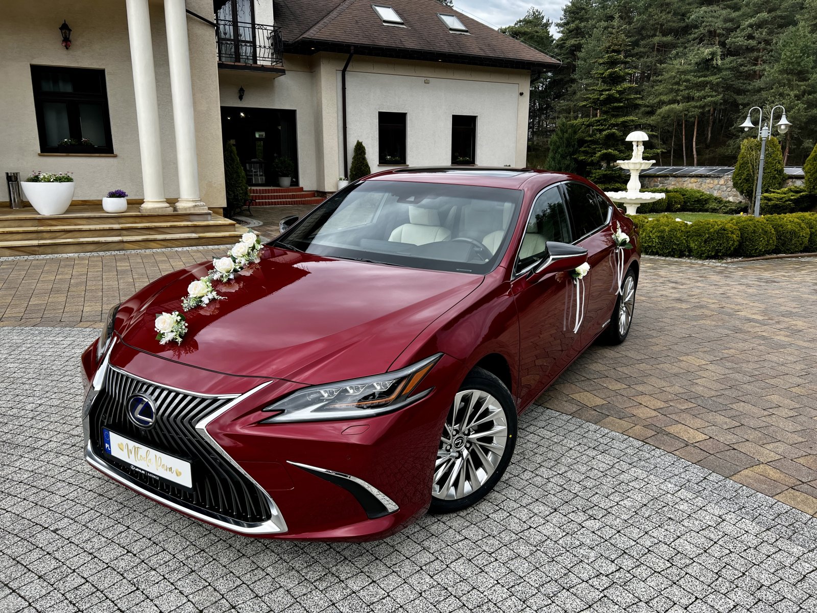 lexus (2).jpg