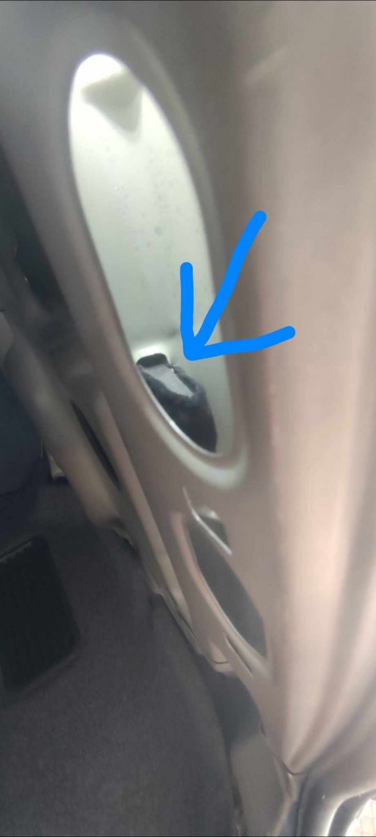 received_675941800733573.jpeg