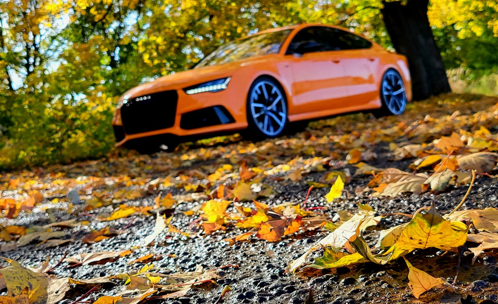 20231021_140852.jpg