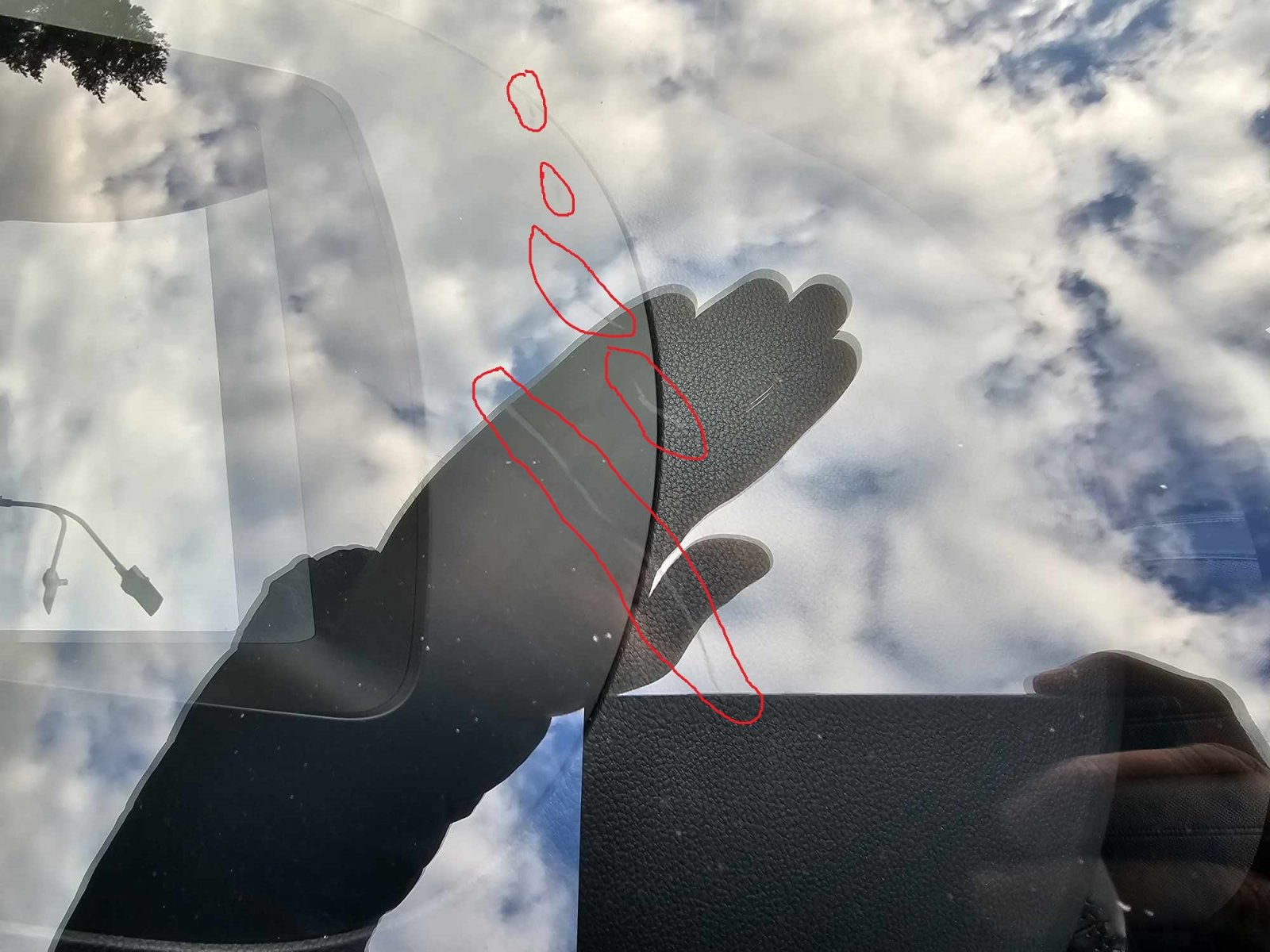 393718286_298762512924615_7935558160215949644_n.thumb.jpg.d06d185be32f53acd76a0660d8459f01.jpg