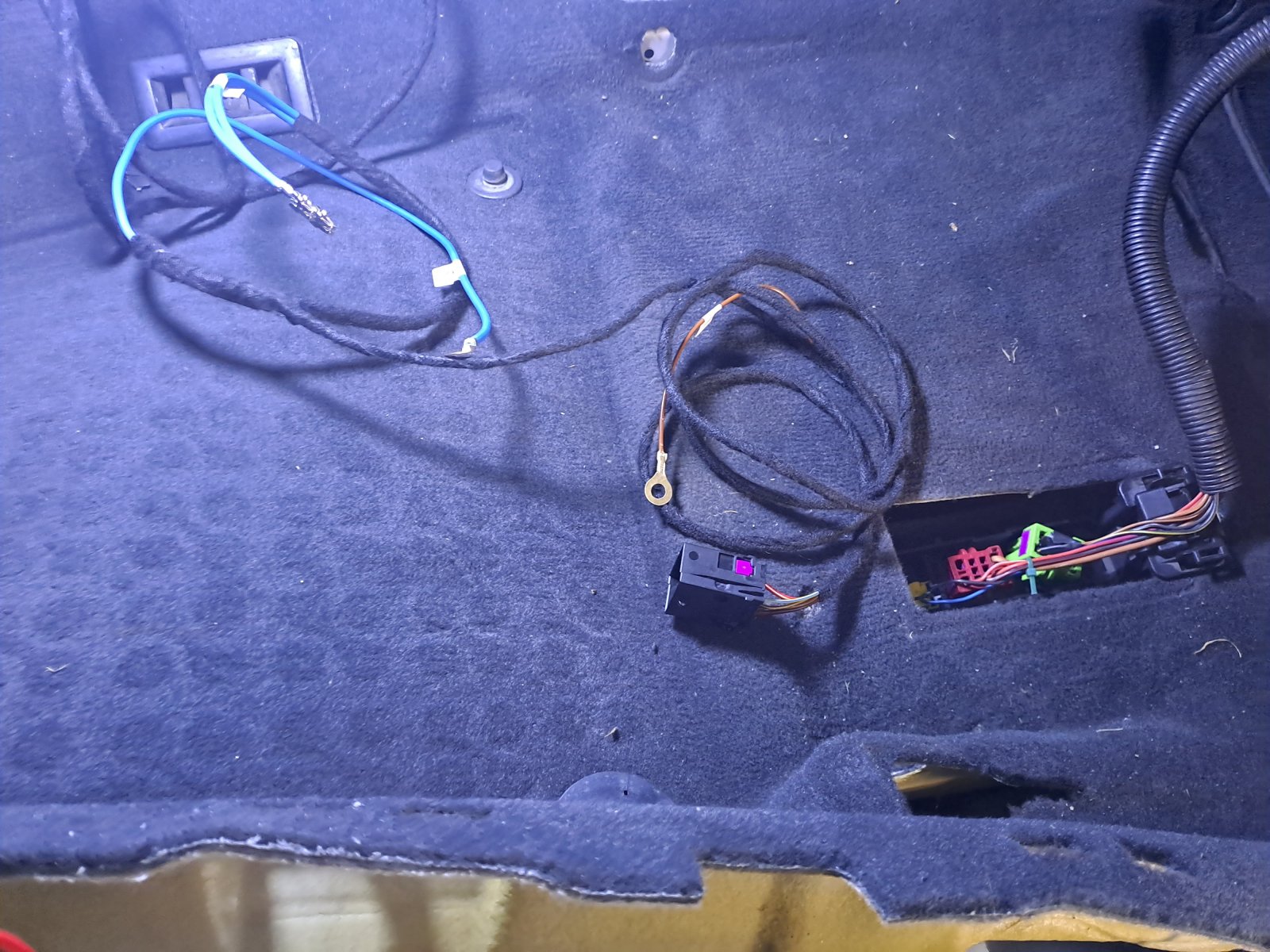 20231114_113540.jpg