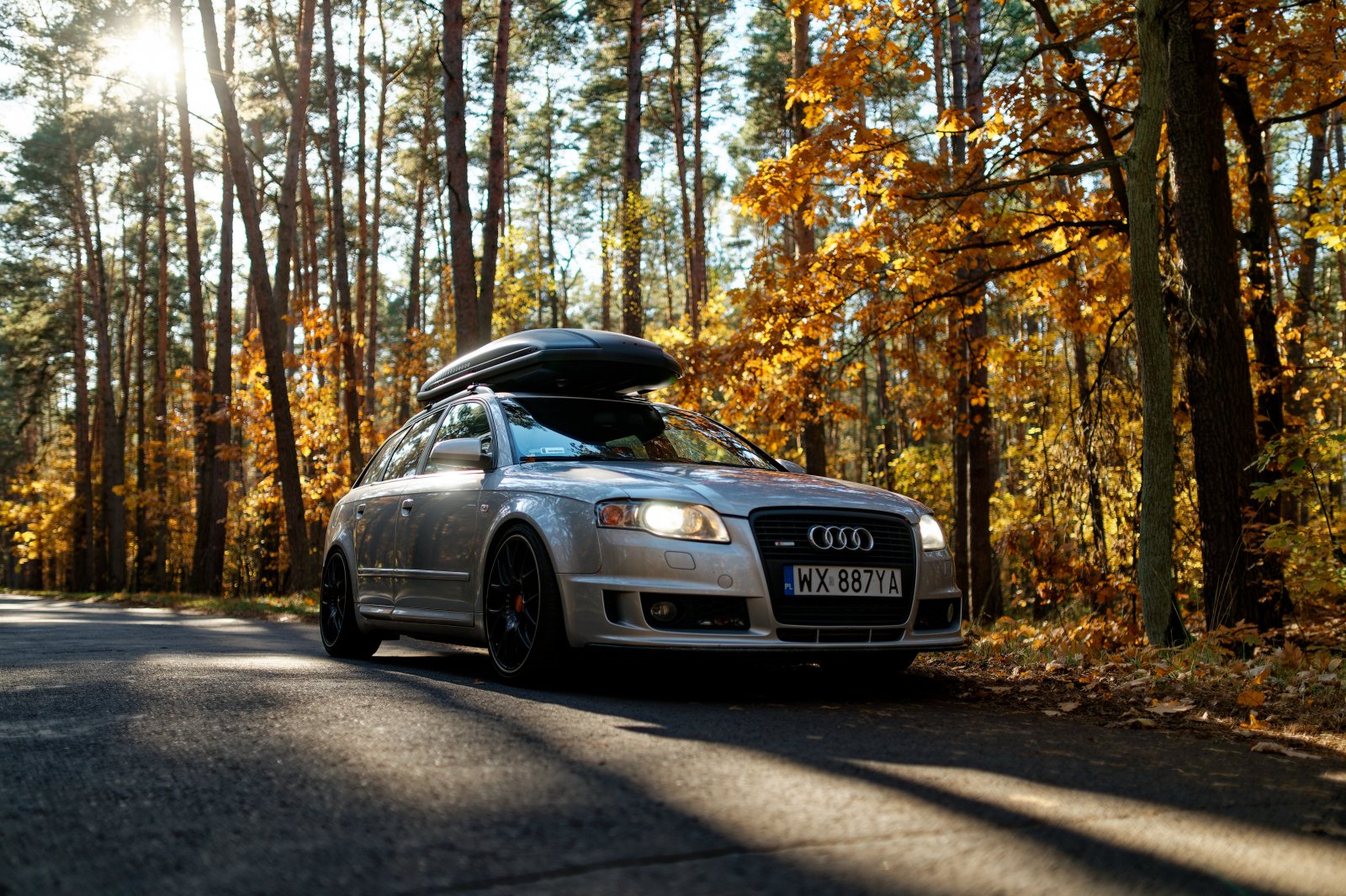 DSC_8787_DxO.thumb.jpg.2bd2a98536908100ee597072cf02f7fa.jpg