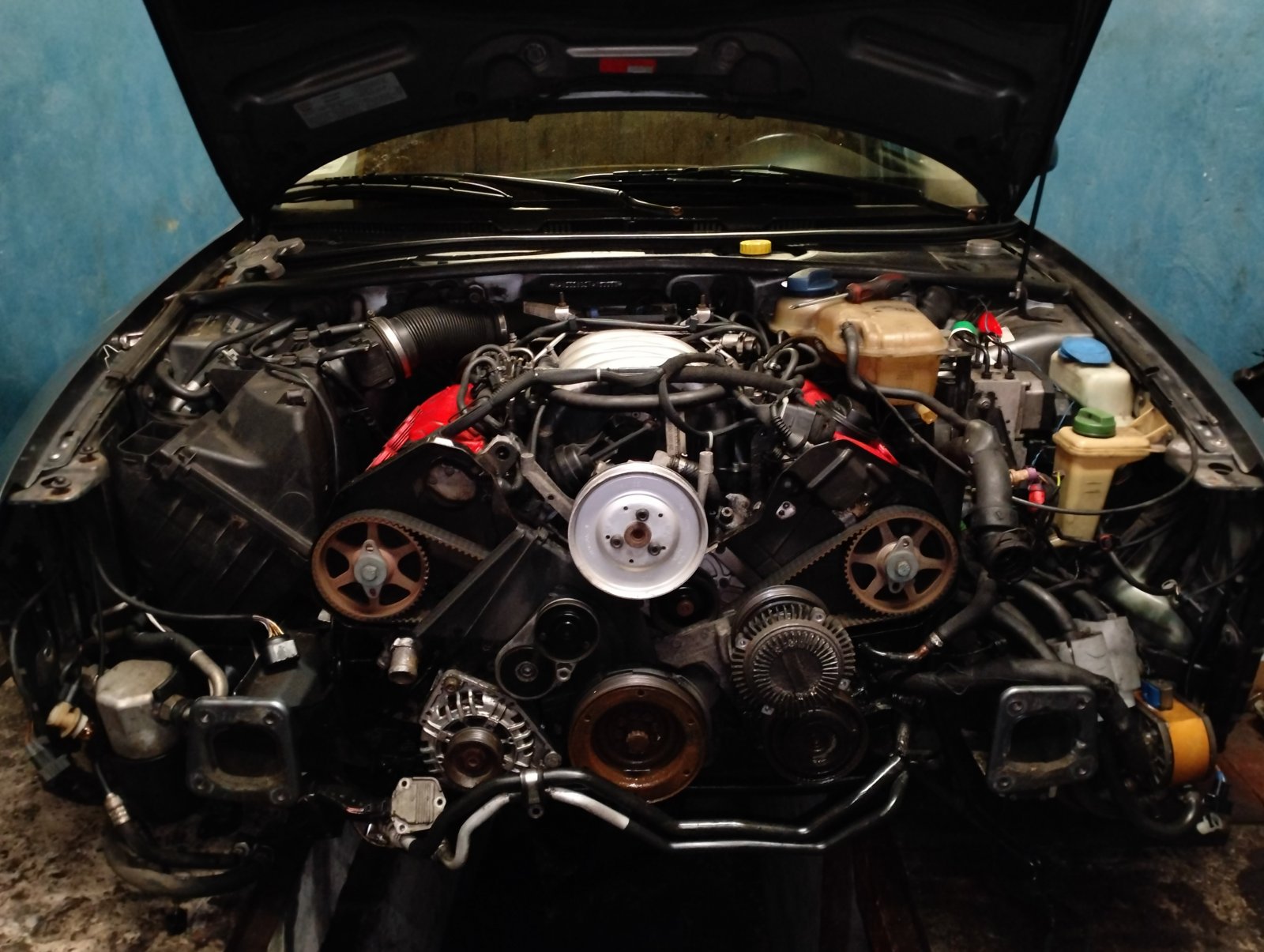 IMG20240128024920.jpg