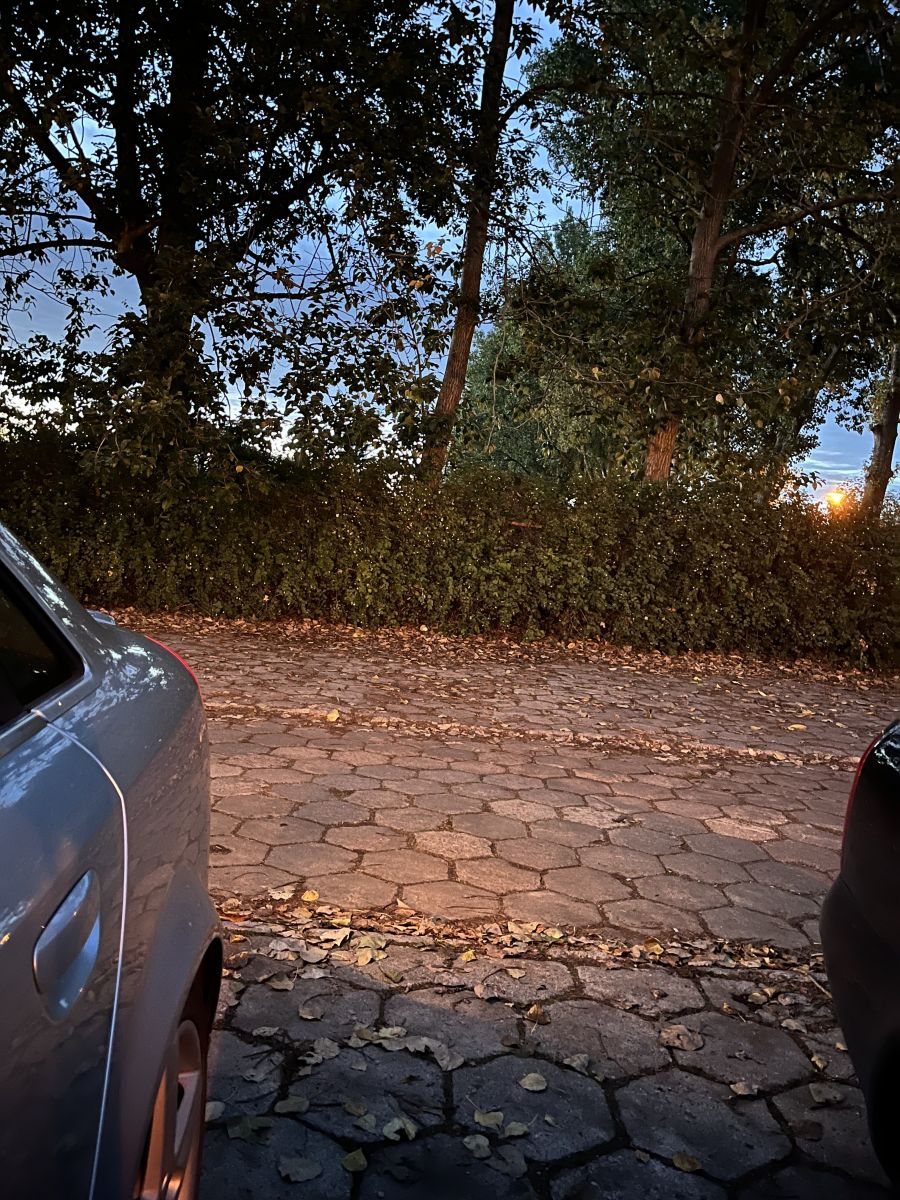 IMG_2908.jpeg