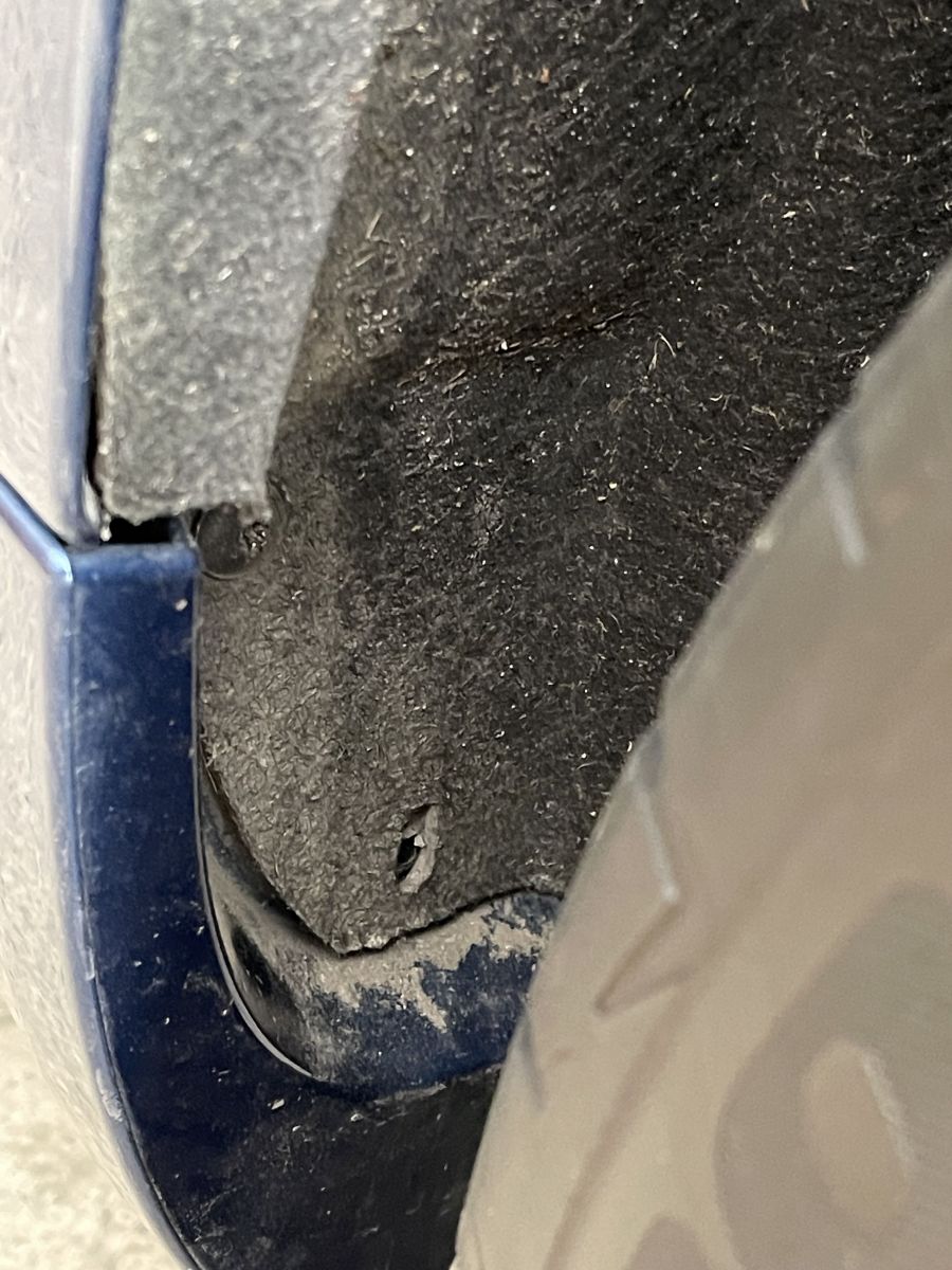 IMG_6069.jpeg