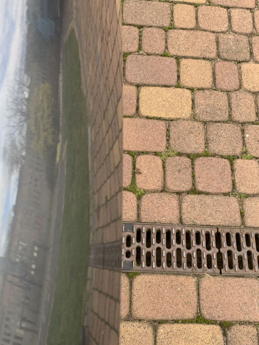 IMG_1249.jpeg